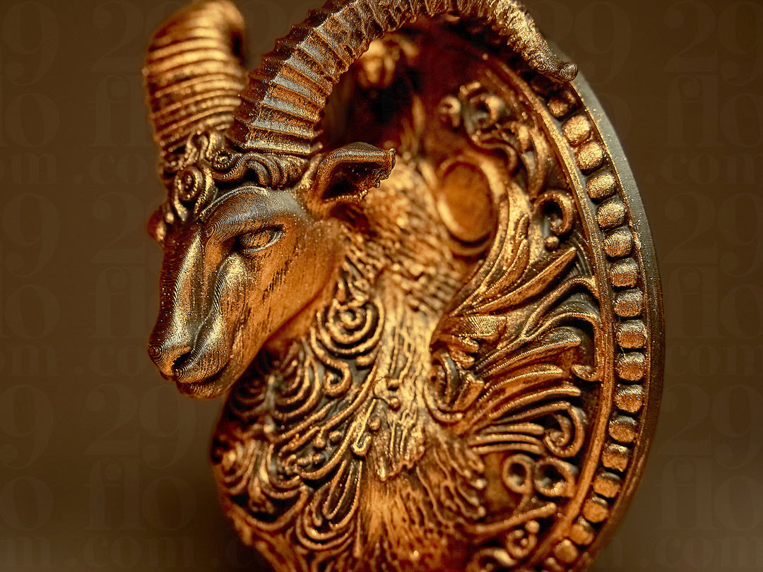 Zodiaco - Capricorno