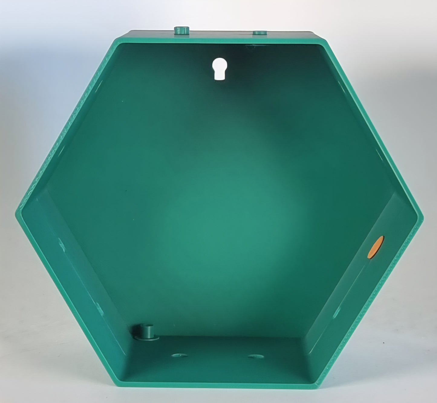 Modulo Bacheca Esagonale